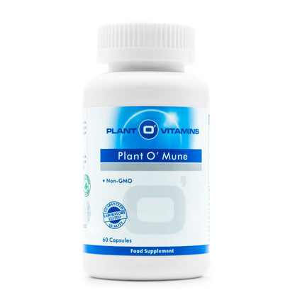 • Plant O’Mune Plant O’Vitamins capsules pot 60 stuks
• enzymen NAC nattokinase bromelaïne supplement Plant O’Mune capsules
• plantaardig enzymen complex Plant O’Vitamins vegan capsules pot
• Plant O’Vitamins multi ingrediënt supplement capsules pot