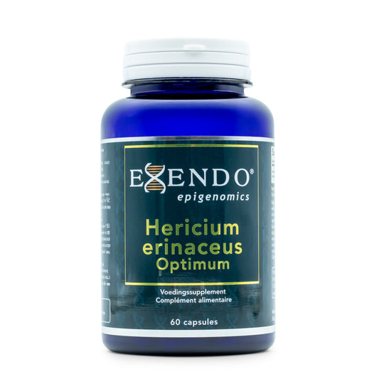 • Hericium erinaceus Optimum Exendo lion’s mane capsules pot 60 stuks
• pruikzwam lion’s mane supplement 20:1 extract capsules Exendo
• Hericium erinaceus paddenstoelen capsules Exendo Epigenomics pot
• lion’s mane extract supplement vegan capsules Exendo pot