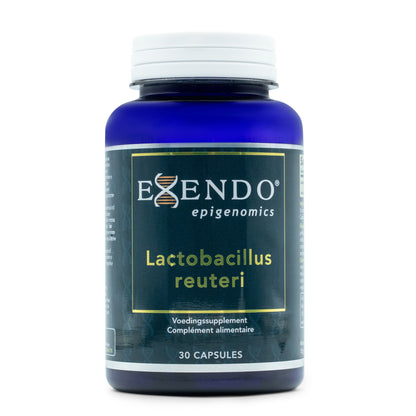 • Lactobacillus Reuteri Exendo probioticum capsules 30 stuks
• 15 miljard CFU probioticum met inuline Exendo capsules
• Lactobacillus reuteri en prebiotica supplement Exendo Epigenomics
• Exendo probioticum capsules darmflora ondersteuning